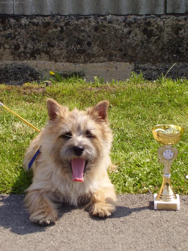 Foto: Po úspěšné výstavě-KVP KCHMPP Mladá Boleslav 2006