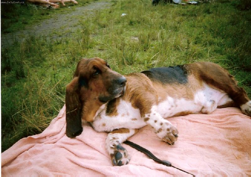 Foto: Spadynek-V létě na pláži :-)