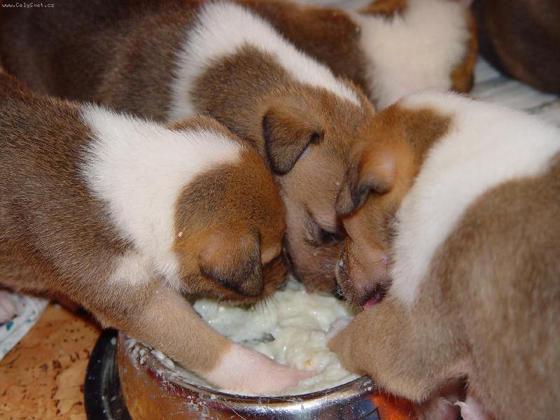 Foto: Mňam-Foto: J. Ouředník