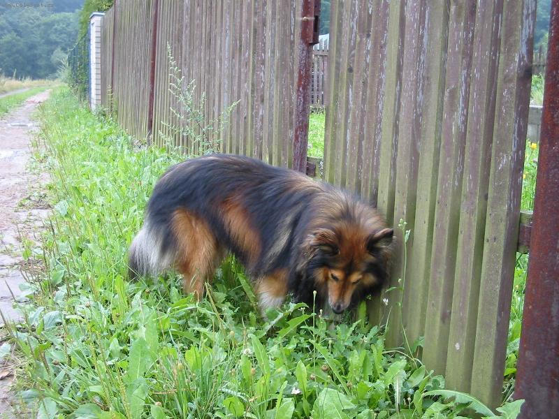 Foto: Akim-Průzkumník