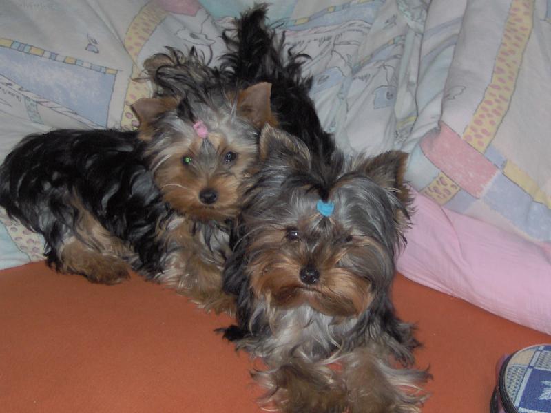 Foto: Charlie a Magie-Jsme nerozluční!!!