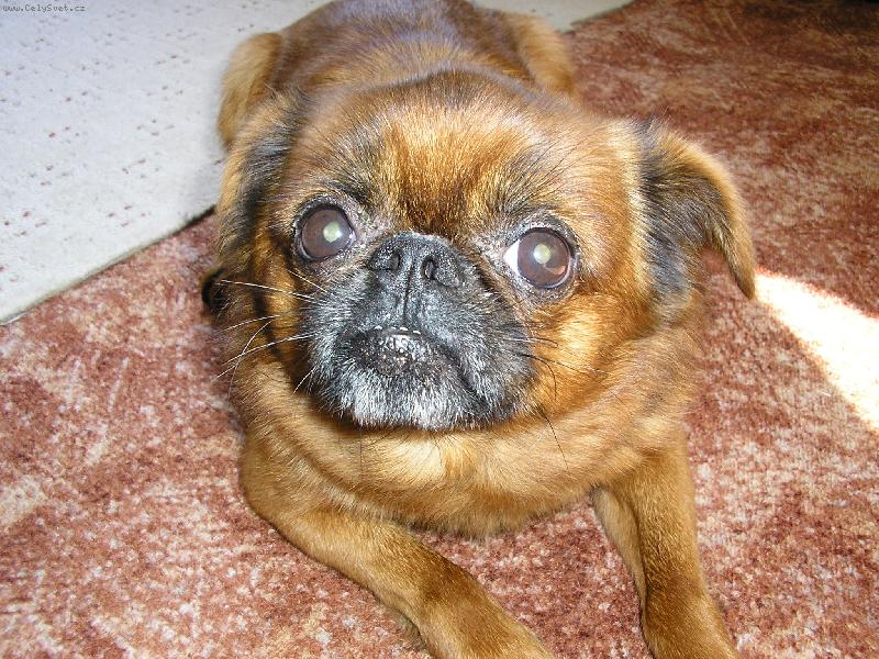 Foto: Grifonek-Artur