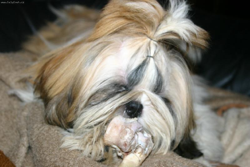 Foto: Nase Baronka s kostickou i spinka