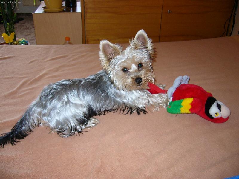 Foto: Náš Denísek