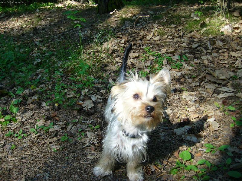 Foto: Náš Denísek