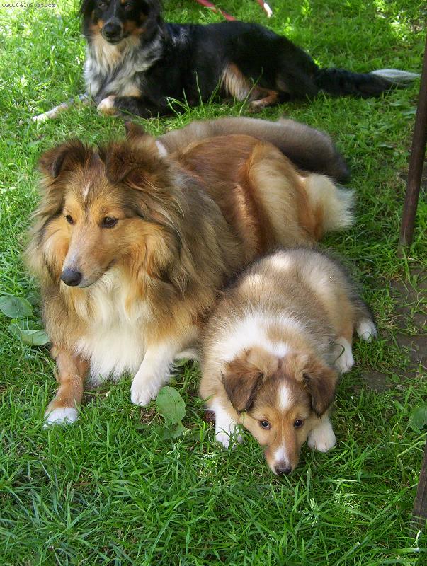 Foto: Eliška a její štěňátko