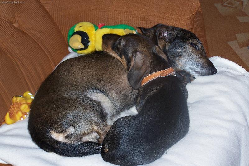 Foto: Staroušek Čendík a mimino Tobík :-)