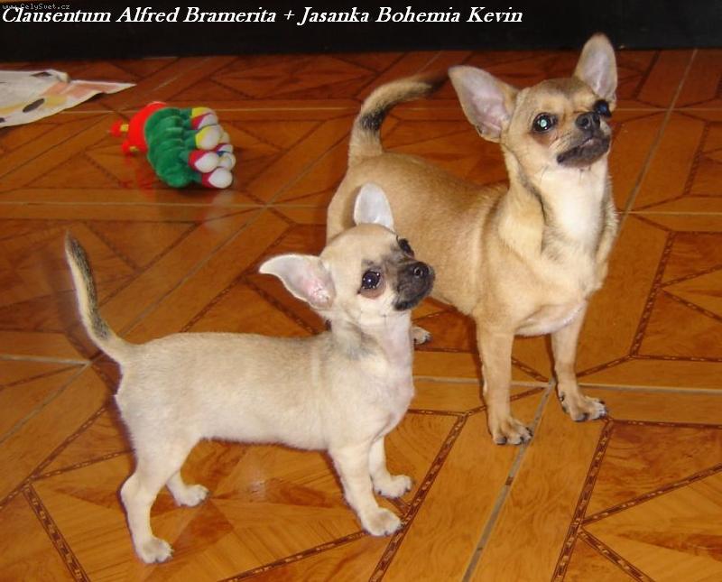 Foto: Alfred a Jasanka