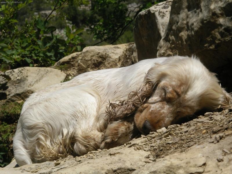 Foto: barnabáš po záchranářské výpravě