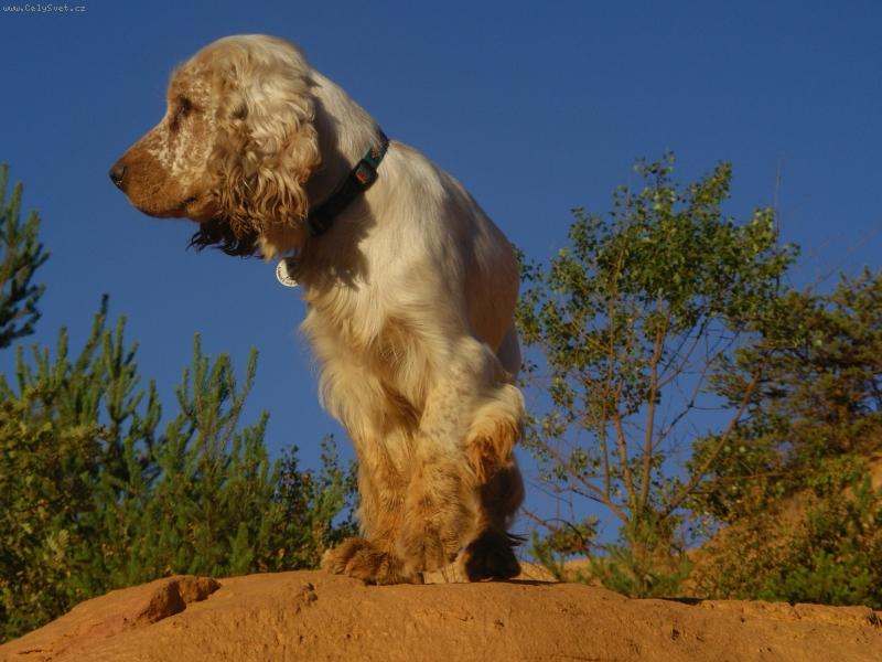Foto: barnabáš na obzoru