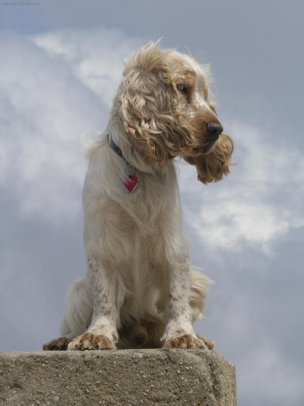 Foto: barnabáš ve větru