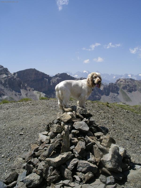 Foto: barnabáš v alpách