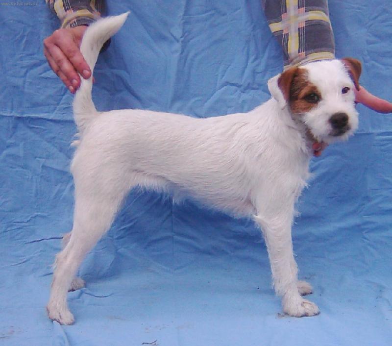 Foto: Lumpárna mi číší z očí