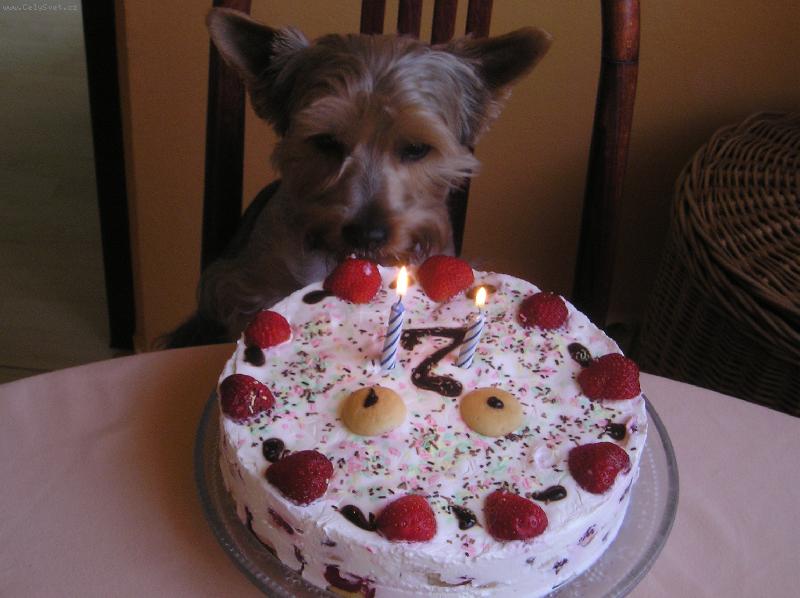 Foto: Ričínek-Mnam, to se ale mám....