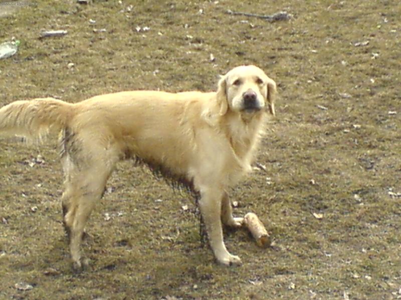 Foto: Falíček-moc se na vas zlobim