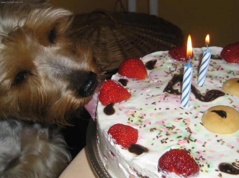 Foto: Ričínek-mnam...