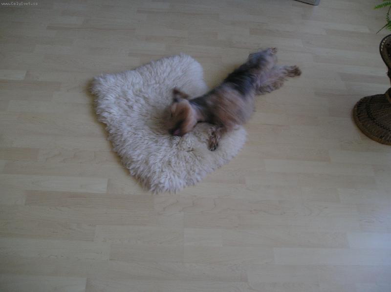 Foto: Ričínek-váleníčkoo