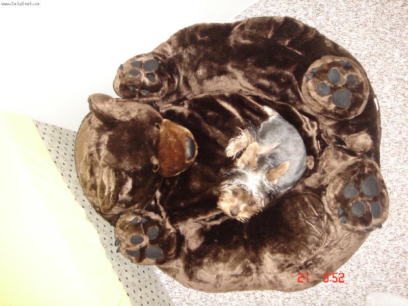 Foto: super poleženíčko