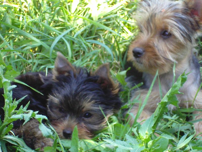 Foto: Na chvíli mír