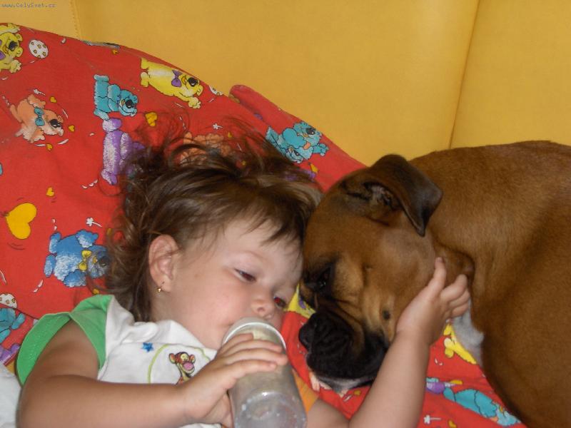 Foto: Donna - verný stražca :O)