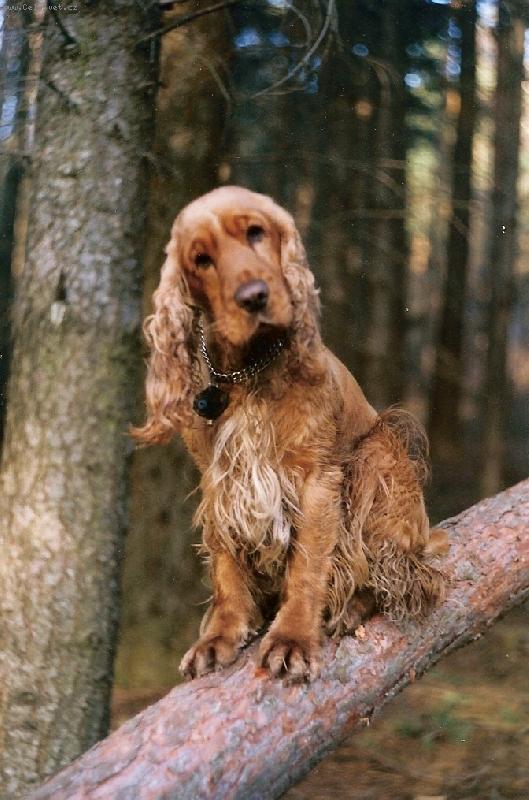 Foto: Můj kulíšek