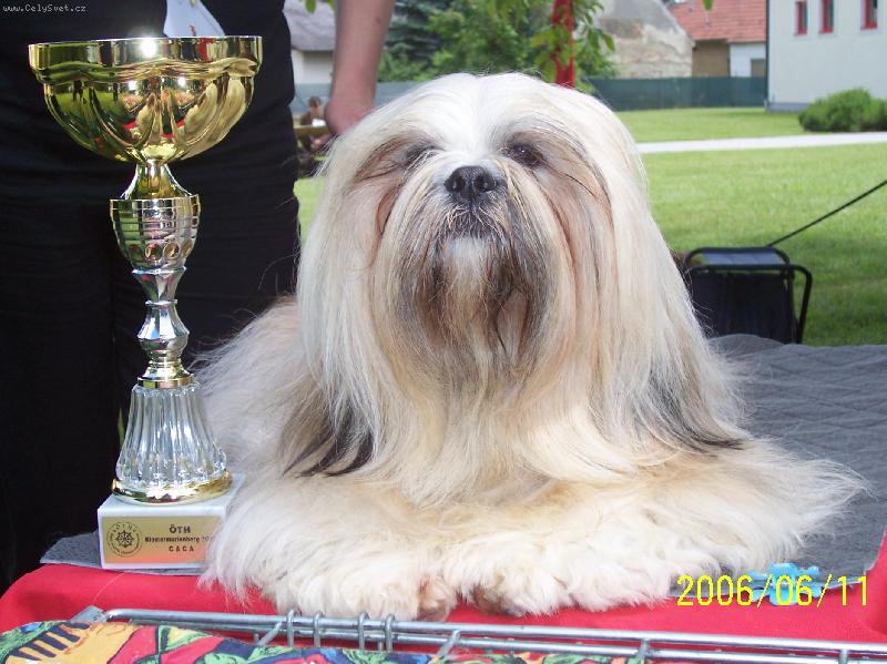 Foto: Wasco-Na výstave