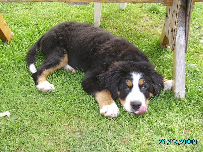 Foto: Jenny-dostanu něco dobrého?