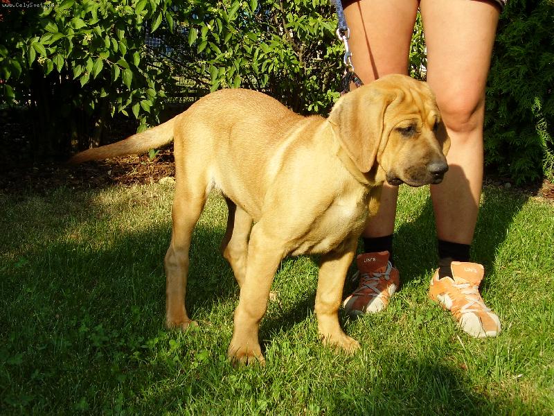 Foto: Cynthia Abides-Cynthi pozuje ve svých 3.měs.