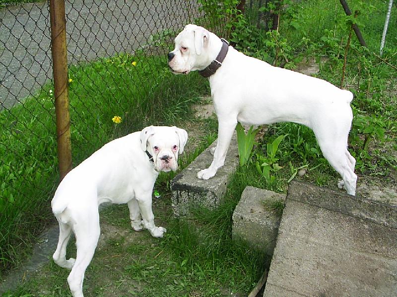 Foto: jak se vám líbíme-máme se moc rádi