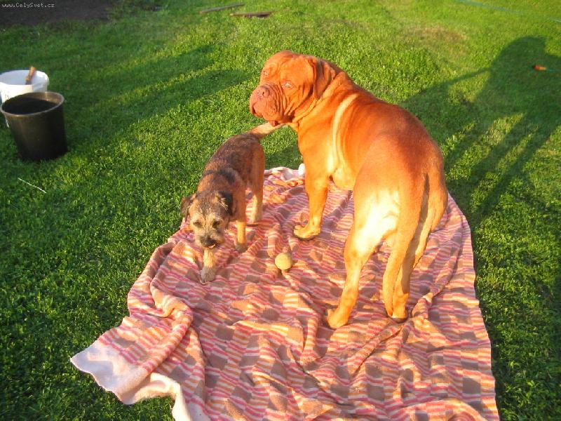 Foto: BX Duk-Duk s Iranem