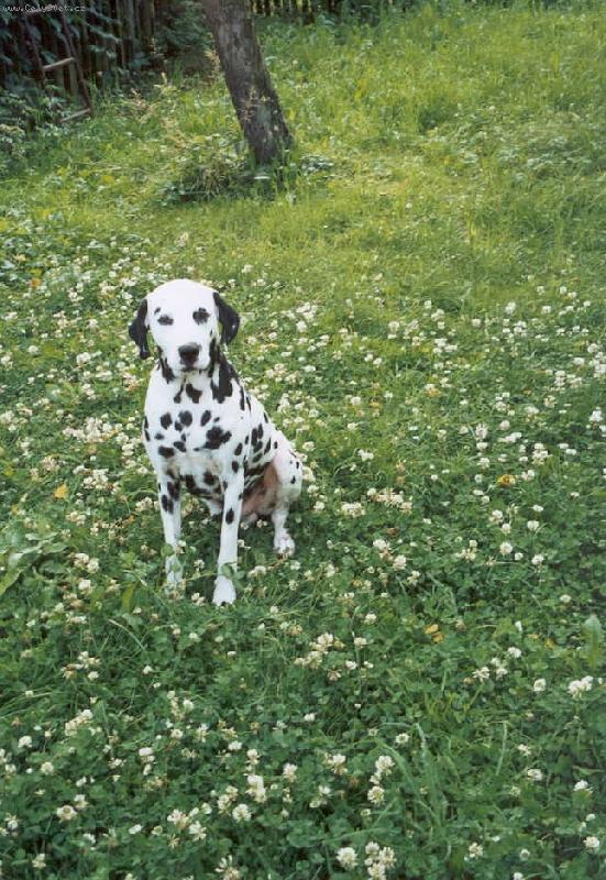 Foto: John-Nerad se fotím, ale když to musí být.