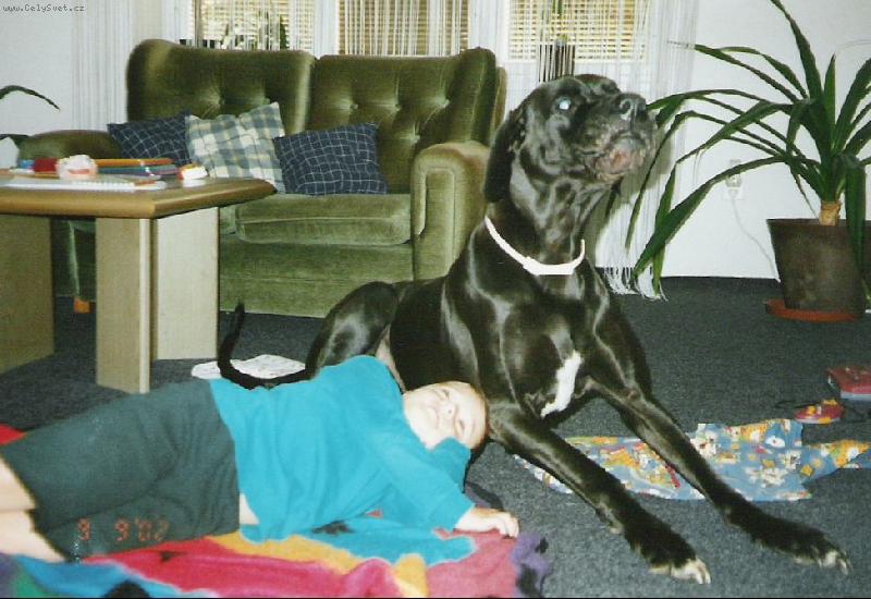 Foto: JENNY.TOMIŠ-JENNY