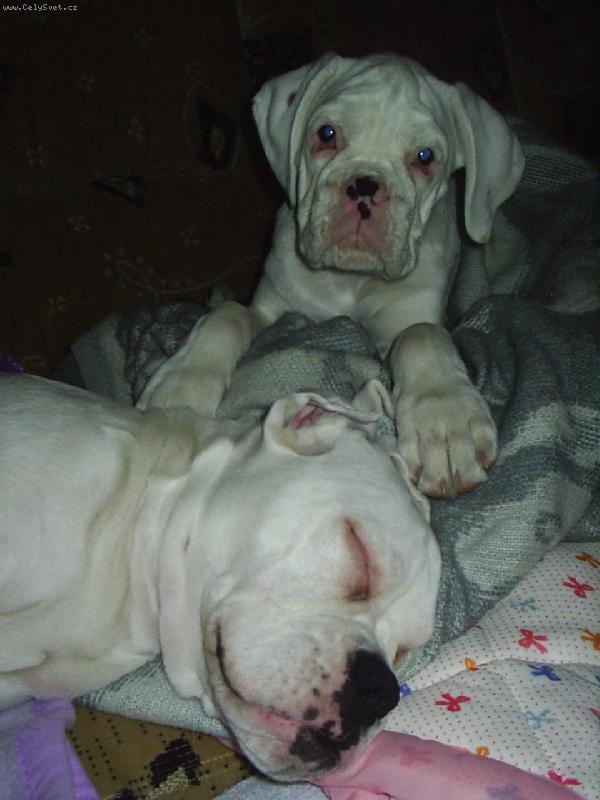 Foto: pořád spolu-krásné sny