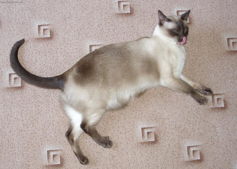 Foto: Filípek-RELAX