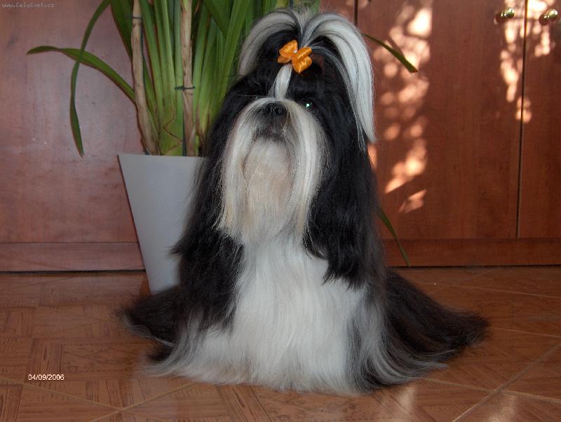 Foto: Bude to trvat ještě dlouho?