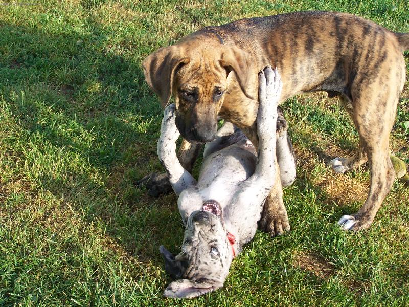 Foto: Igorek a Fidel