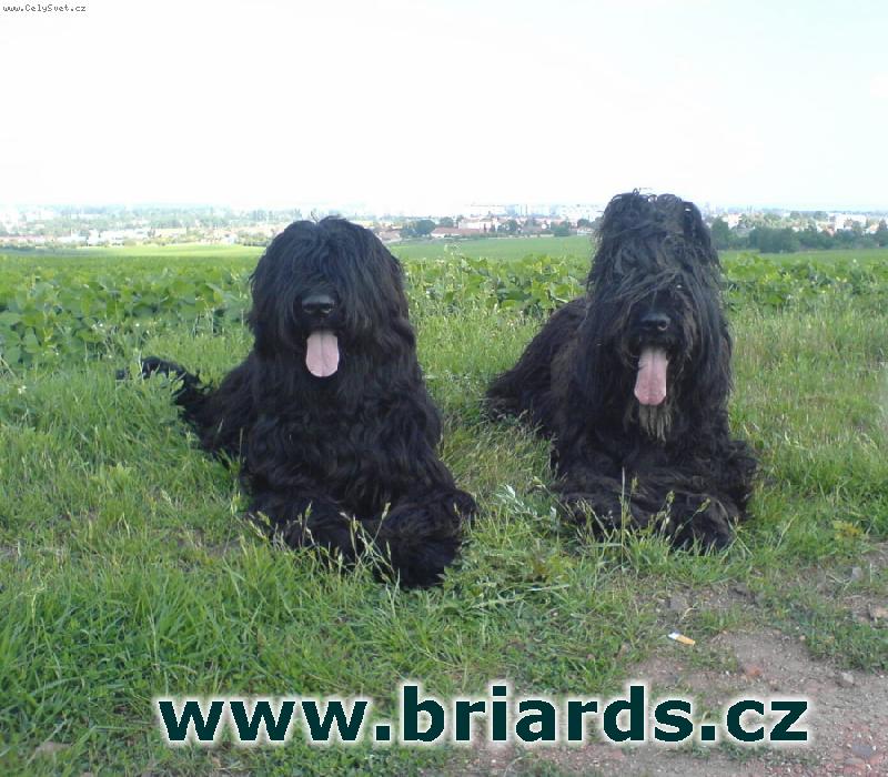 Foto: Komodor Law Nadina sis a Booker Nadina sis!-Tým z Ďáblic