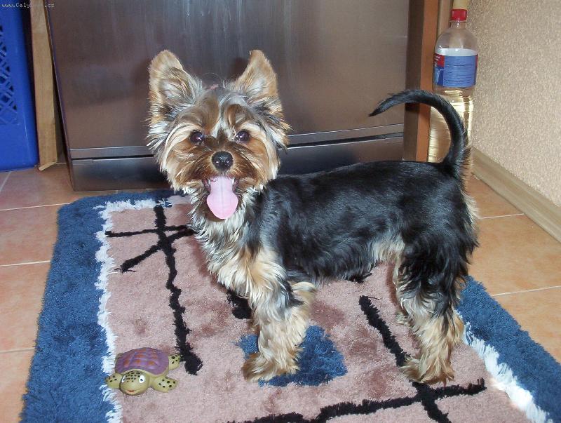 Foto: Lentilka Řehová-Lentilka je jí 6 měsíců a takhle se směje