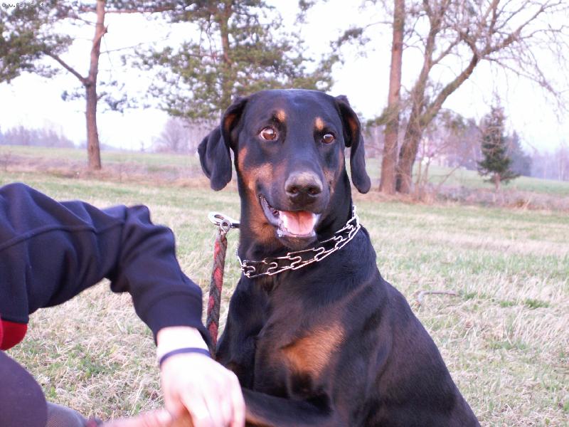 Foto: naše štěstí