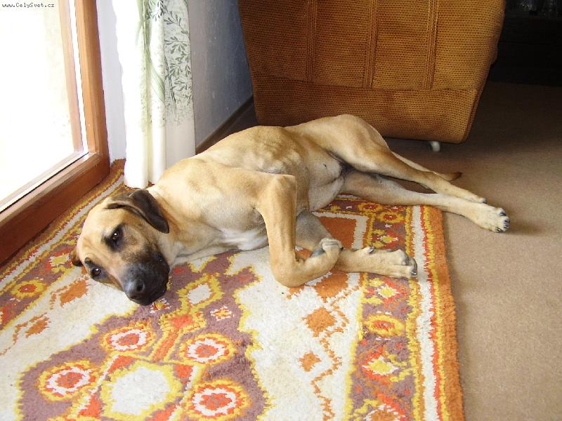 Foto: Odpočinek po těžké práci