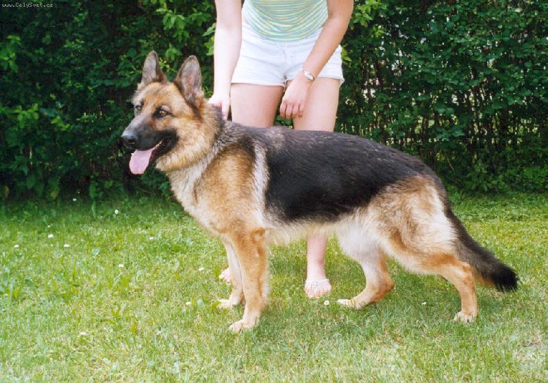 Foto: Bonny-Naše princezna