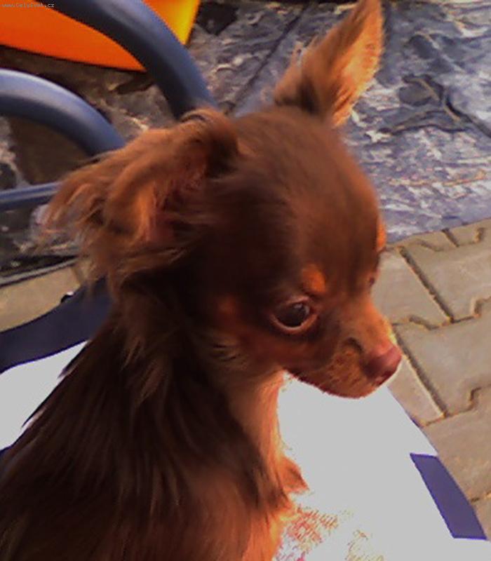 Foto: Magali-Megi na houpačce