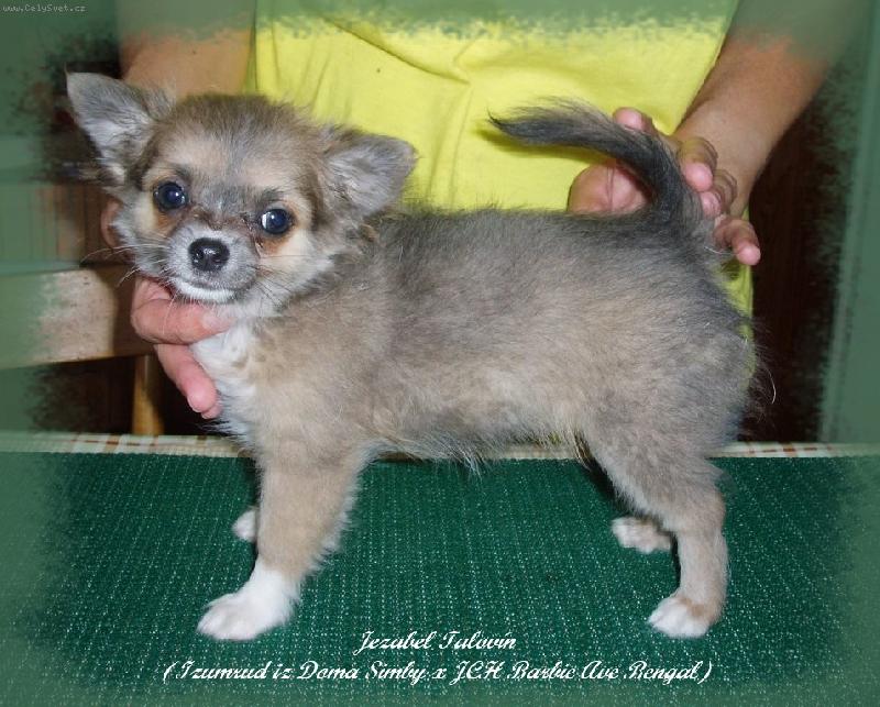 Foto: Jezabel-Zase focení...