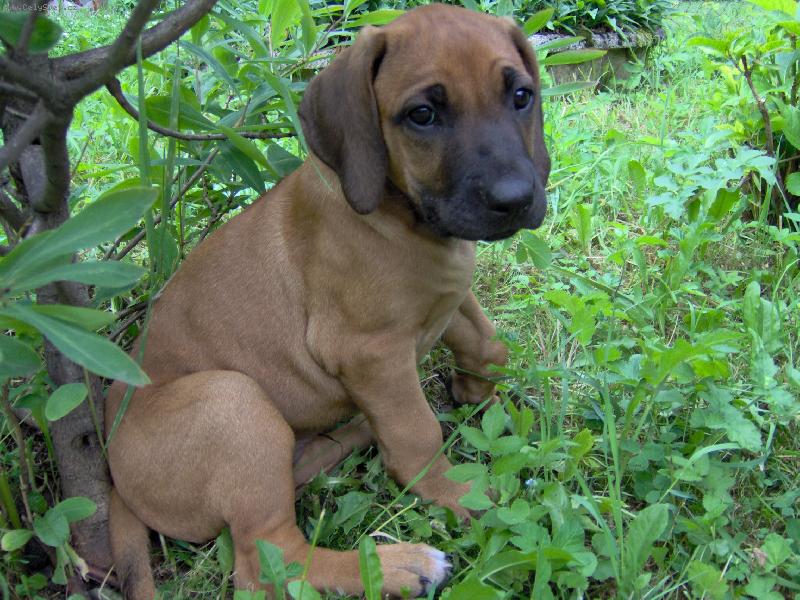 Foto: Odpočinek malého průzkumníka