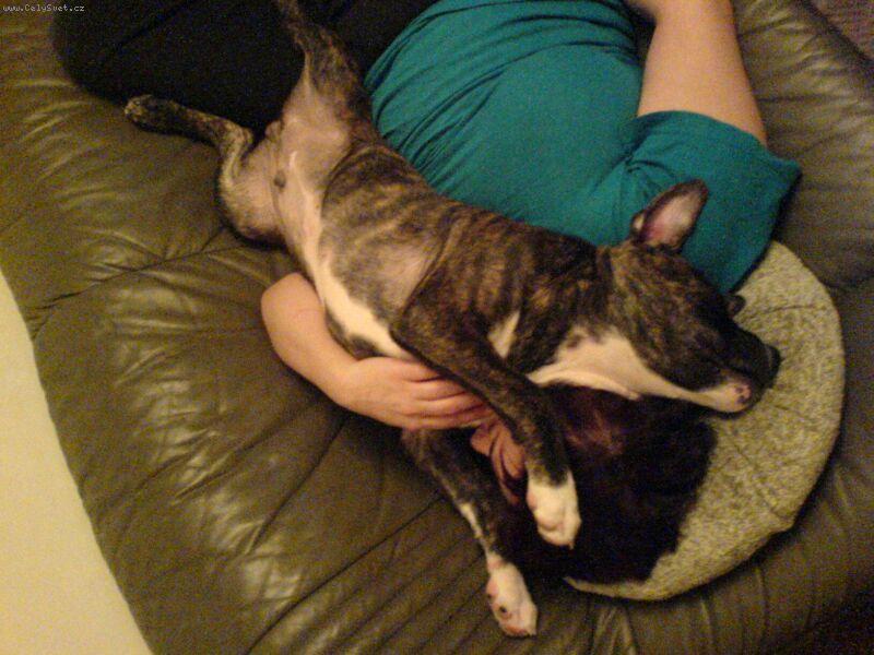 Foto: Brut-nejlepší odpočinek