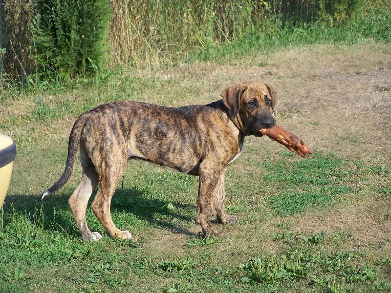 Foto: Fidík-3 měsíce