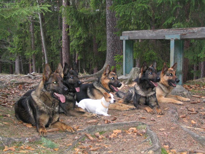 Foto: Odložení-Také Jack (mnohanásobný otec) má perfektní odložení