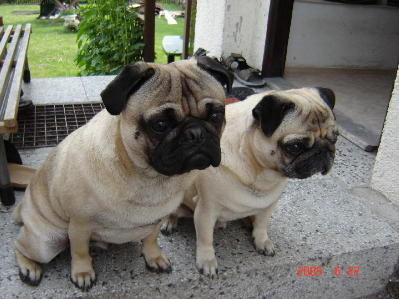 Foto: Maxmilián a Albert