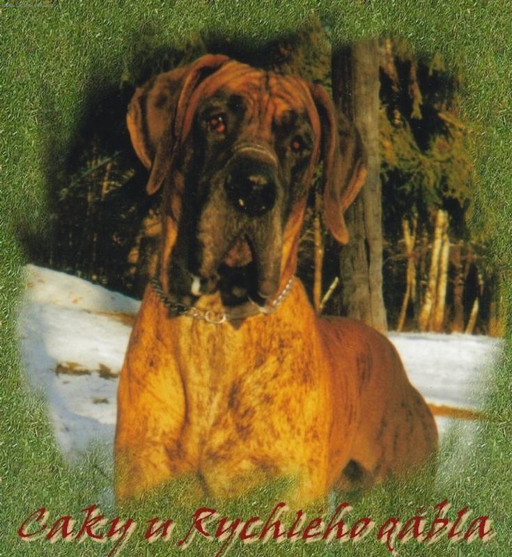 Foto: Caky u Rychlého ďábla