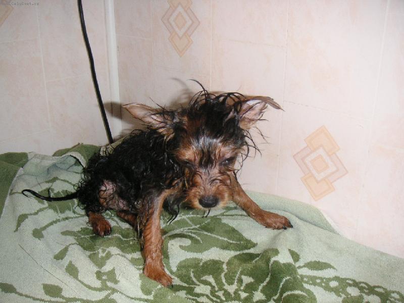 Foto: Začínáme se koupat:-)